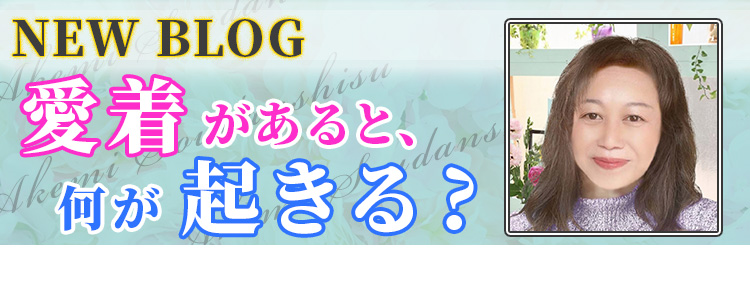 冬美先生ブログ